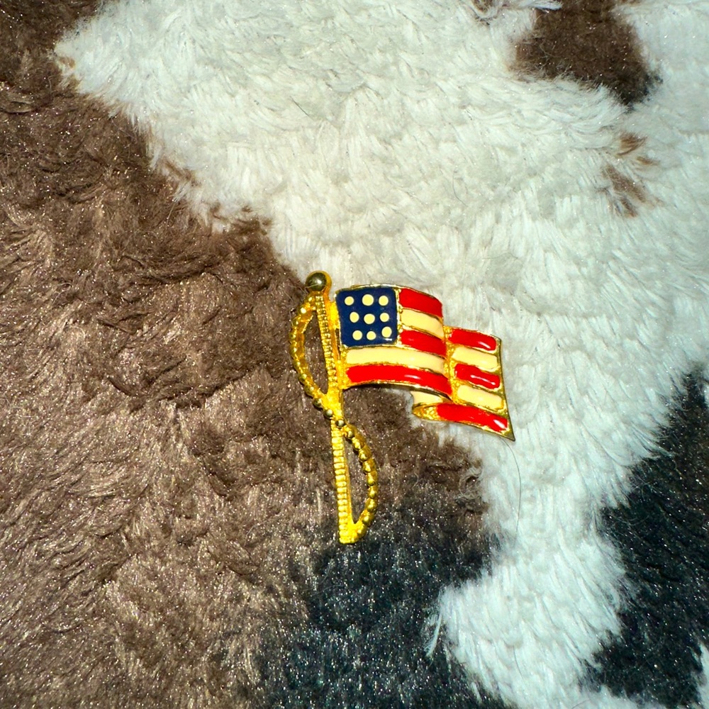 An American flag pin.